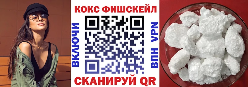 Купить где  Среднеуральск  COCAIN Fish Scale 