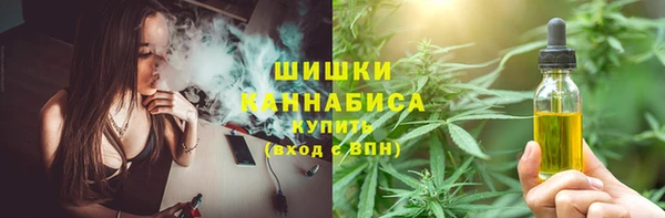 spice Верея