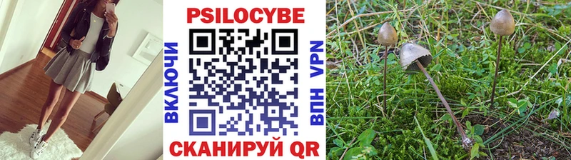 Купить где  Среднеуральск  Псилоцибиновые грибы MAGIC MUSHROOMS 